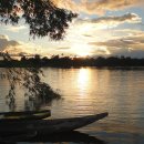 오리노코(orinoco) 이미지