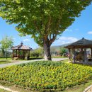 청도박물관 이미지