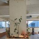 마루콩콩 이미지