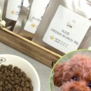 퍼쉬퍼피 네이버블로그