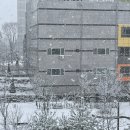 빵꾸똥꾸문구야다산가람점 | 눈오리 아니고 눈공룡 만들고 논 후기 남양주 다산 눈오리 구입처