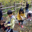 시립배곧호반2차어린이집 이미지