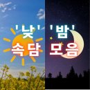 낮&밤 - 양구군 | 낮&밤
