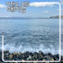 경남 거제도 여행 SNS 인생샷 명소 매미성 간식 맛집 미스터옥슈슈 후기
