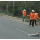 쌍쌍무도장 이미지