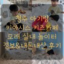청주 아기랑 주말 평일 가볼만한곳 실내모래놀이터 키즈카페 키아시스 추천 내돈내산 후기