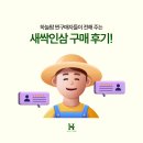 1인 창업 소자본 창업 새싹 인삼 하늘팜) 새싹인삼 구매 후기