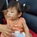 한가인물티슈 닥터마밍 아기물티슈 촉촉케어 솔직후기