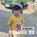 비소(조)-일-8 | [일상] 조씨 세자매의 경주 나들이 1일차_추억의 달동네, 황리단길, 명퉤, 정이품쭈꾸미 포장