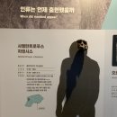실과 바늘 | 대전국립중앙과학관 탐방기 #2 인류관 : 인류와진화이야기 해설 후기
