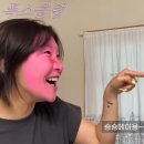 메이홍 이미지