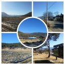 지리산꾸지뽕농장 이미지