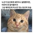 올리뉴욕 | 씨바 거참 공부하기 딱 싫은 날씨네