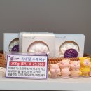 큐사랑(Q사랑) 이미지
