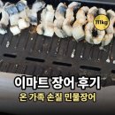 이마트 온 가족 손질 민물장어 집에서 구워 먹기 후기, 자포니카 뜻?