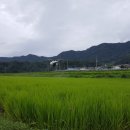 충청무인항공 이미지