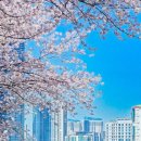 티엔티부산 - 동구 중앙대로180번길 6-11 | 티엔티부산
