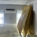 펫브로(Pet Bro) 이미지