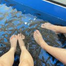 로만바스 | [경기도 용인] 찜질방 로만바스 내돈내산 평일 방문 후기