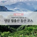 제111차 전남 영암 월출산 단풍산행 이미지