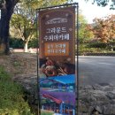 경북칠곡가산수피아 핑크뮬리.아기랑가기좋은곳