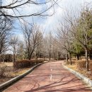 광적생활체육공원 축구장 이미지