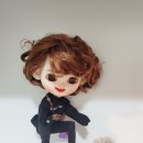 이리온 댕댕 이미지