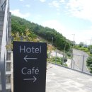 cafe Felice(카페 펠리체) 이미지