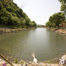 파평용연 이미지