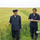 석교농장 이미지