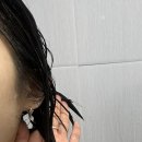 헤어 바이 담 | 다이소 추천 헤어 트리트먼트 바이아우어 샴푸 트리트먼트 후기