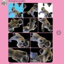 루이야 놀고 자고 GO 이미지