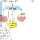 19. 고려 광종의 업적 (14~30회) 이미지