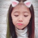 모리폴리 이미지