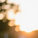 성모맑은숨이비인후과의원 이미지