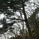 장성백암중학교 이미지