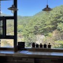 스테이523 이미지