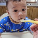 거부 | 생후 8개월 아기 이유식 거부 극복 후기. 256일 아기 이유식 거부 극복