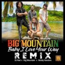 Baby, I Love Your Way(Big Mountain) 이미지