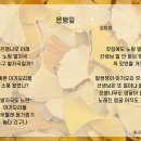 KT 힐링 동화 9월 -은행잎/김미희 이미지