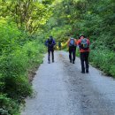 자등 2리 | (상주) 천택(탁)산 두루봉 꼭두바위봉 임봉 자등산 골치봉 산봉산