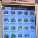 타코비강남대치 네이버블로그