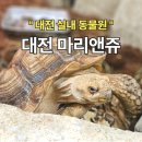 마리앤쥬 | 내돈 내산 대전 실내 동물원 마리앤쥬 후기