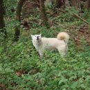 둔기마을 이미지