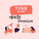 모든카클리닉 | 화성 멍카24 소독 후기 반려동물 해충클리닉, 바이러스케어 제이원