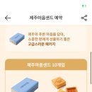 샌드하우스 이미지