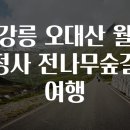 전나무길 이미지
