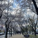 상우애드 | 포근포근 4월, 행복했다