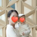 자연고시식당 | 돌끝맘 기록1) 200만원대로 끝낸 5성급 호텔 돌잔치 후기 &amp; 돌잔치 준비리스트 공유 (안토 우디플레이트...