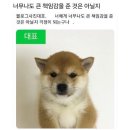 듀